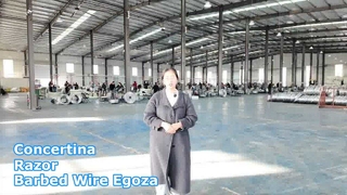 Concertina Kawat Berduri Silet Egoza Kawat Silet Pagar Keamanan Kawat Berduri