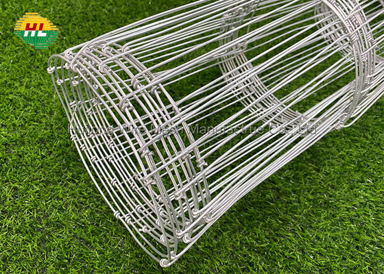 L100mxH1200mm Graduated Dog Fencing Wire Mesh Roll With High Tensile